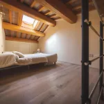 Il Sogno Del Pinzagrilli