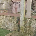 Il Sogno Del Pinzagrilli 4* Guardistallo