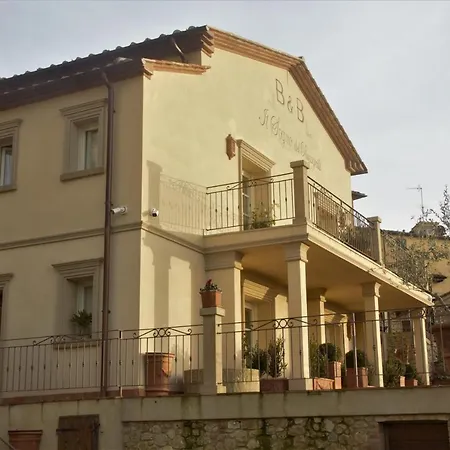Il Sogno Del Pinzagrilli